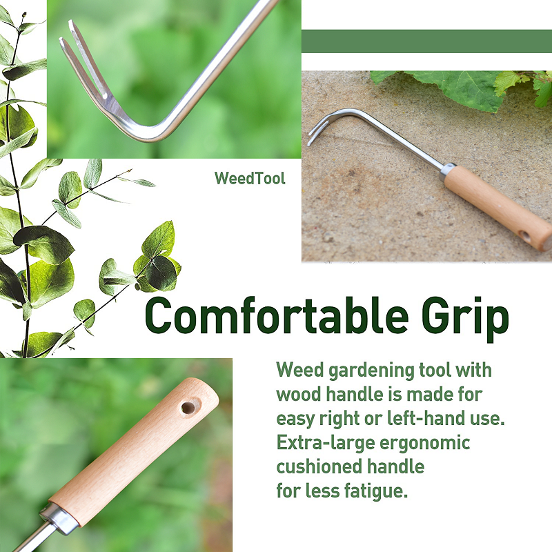  Grass Weeding Hook Root Remover Wood-Handled Bonsai Hook for Stubborn  Grass Garden Plant Weeding Tool Loose Soil V-Hook Dead Grass Remover Tool  Machine Long Handle V-Shaped Design : Patio, Lawn