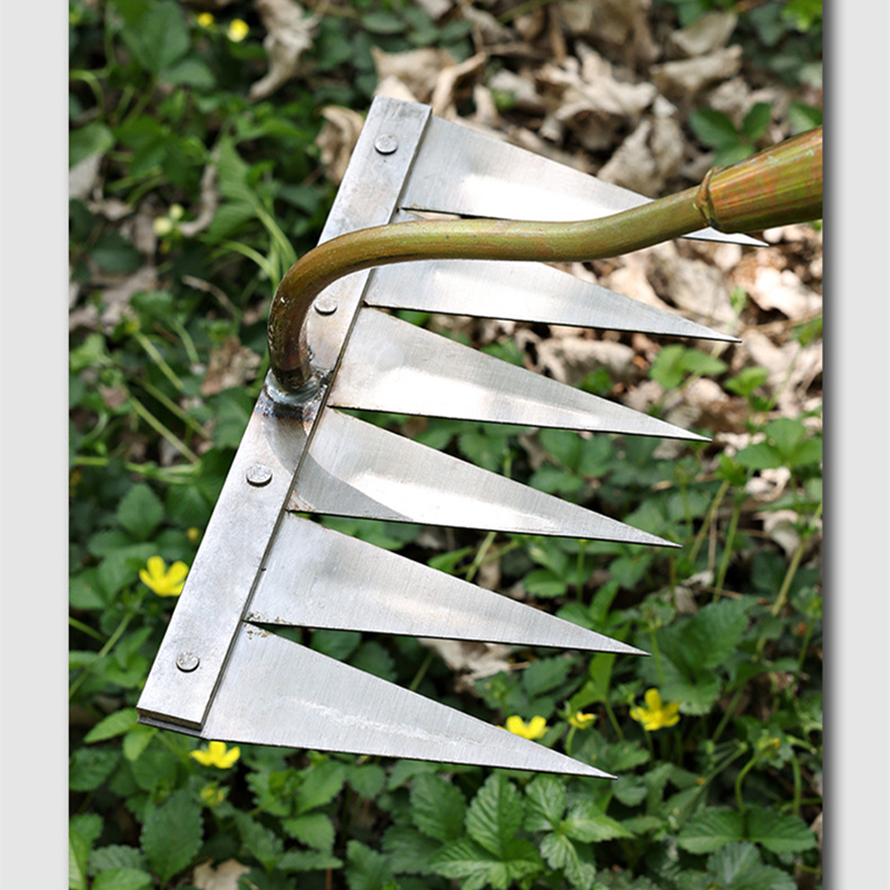 Râteau Flottant Pour Bassin - Manche Long Extensible - Désherbage étangs Et Lacs - Tête Pliable